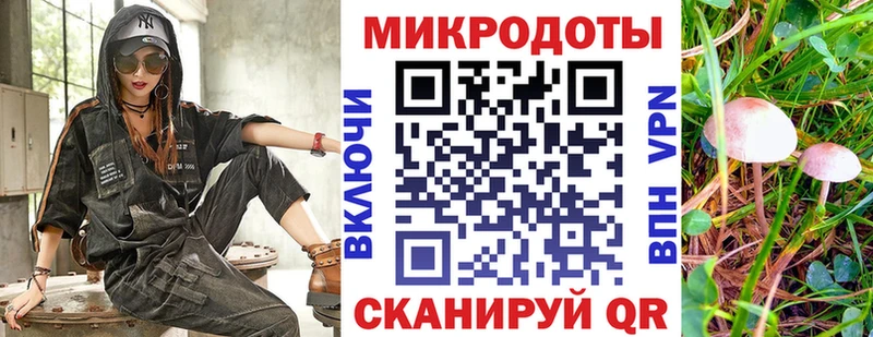 Купить где  Полярные Зори  Псилоцибиновые грибы ЛСД 